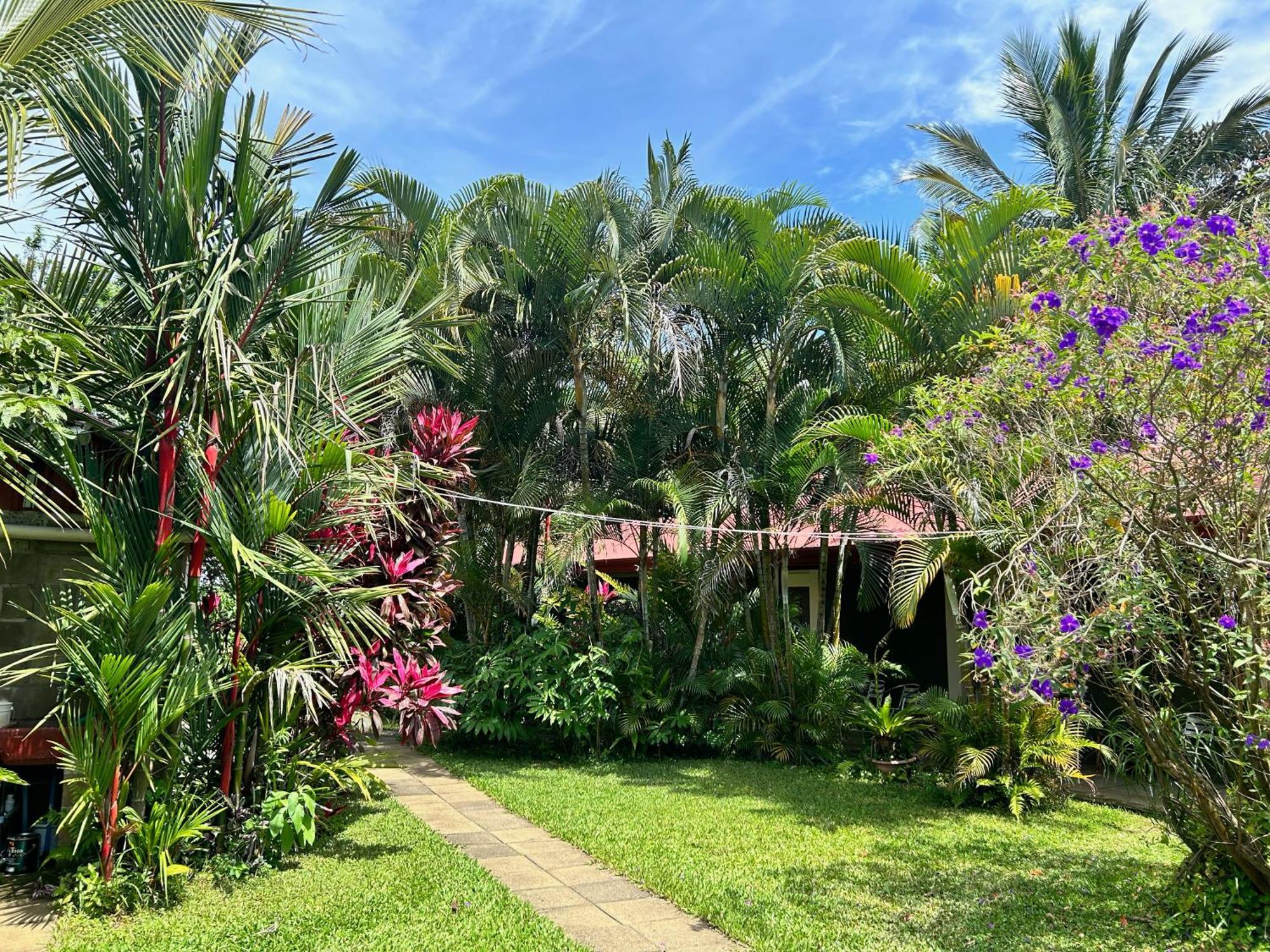 B&B Garden Γκρέσια Εξωτερικό φωτογραφία