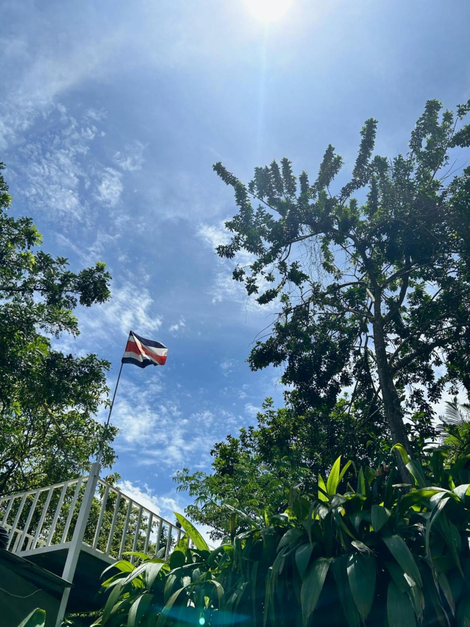 B&B Garden Γκρέσια Εξωτερικό φωτογραφία
