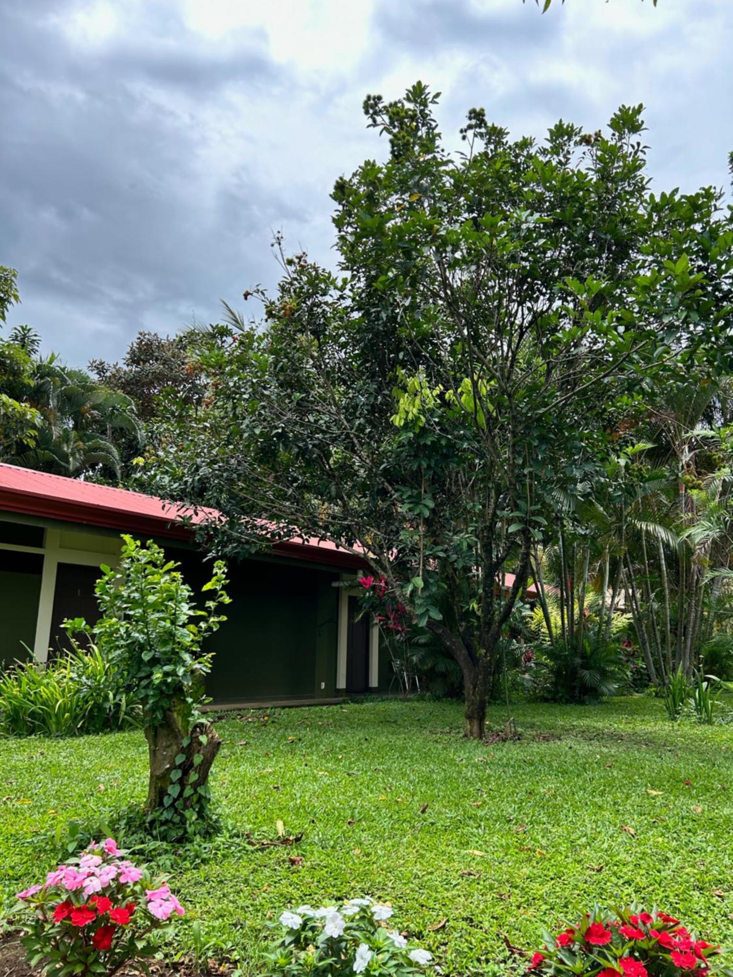 B&B Garden Γκρέσια Εξωτερικό φωτογραφία