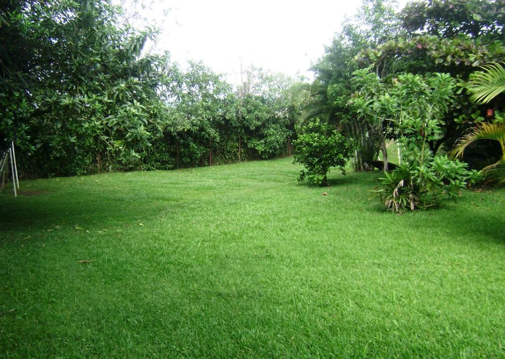 B&B Garden Γκρέσια Δωμάτιο φωτογραφία