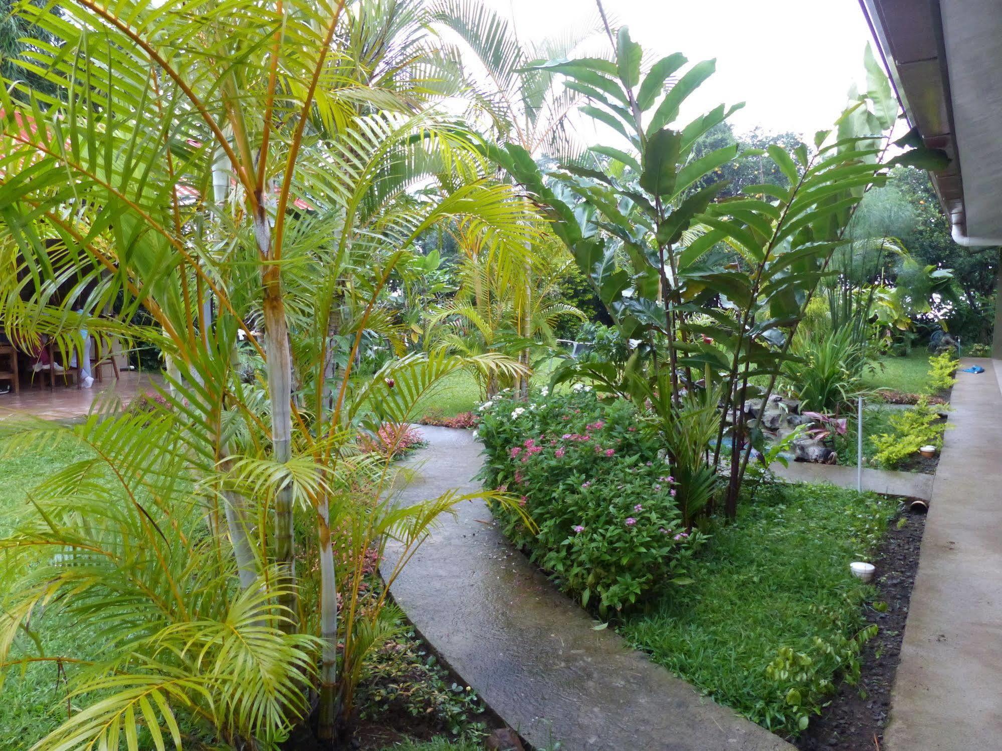 B&B Garden Γκρέσια Εξωτερικό φωτογραφία